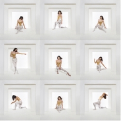 Foxes The Kick JAPANESE CD