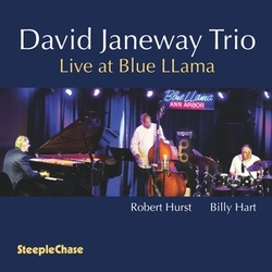 David Janeway Live at Blue Llama CD