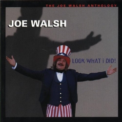 Joe Walsh Look What I Did! - The Joe Walsh Anthology 2 CD