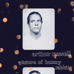 Arthur Russell Picture Of Bunny Rabbit CD