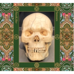 PainKiller Samsara CD