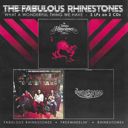 The Fabulous Rhinestones What A Wonderful Thing We Have CD