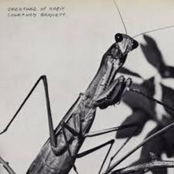 Courtney Barnett Creature Of Habit - SHM SHM CD