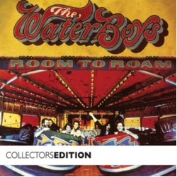 The Waterboys Room to Roam (2CD) 2 CD