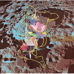 Susumu Hirasawa Virtual Rabbit SHM CD