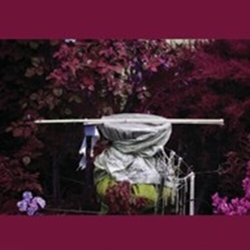 Ava Mendoza Alive Alone, Alive Together LIMITED CD