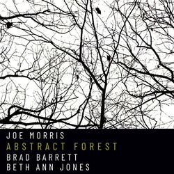 Joe Morris & Brad Barrett & Beth Ann Jones Abstract Forest CD
