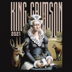 King Crimson Music Is Our Friend (Live In Washington And Albany 2021) SHM-CD JAPANESE SHM CD