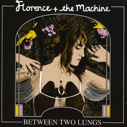 Florence And The Machine Lungs CD