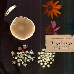 Hugo Largo Huge Large And Electric (1984-1991) CD