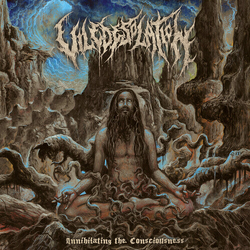 Vile Desolation Annihilating the Consciousness CD