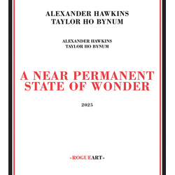 Alexander Hawkins & Taylor Ho Bynum A Near Permanent State Of Wonder CD