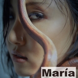 HwaSa María ASIA PHOTOCARD CD