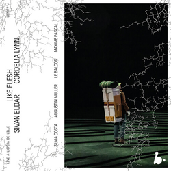 Sivan Eldar & Cordelia Lynn & Silvia Costa & Augustin Muller & Le Balcon & Maxime Pascal Like Flesh (LIVE) CD