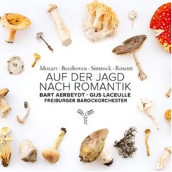 Freiburger Barockorchester Auf Der Jagd Nach Romantik CD