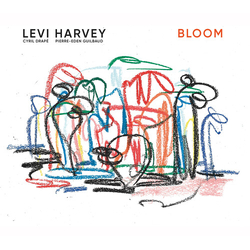 Levi Harvey Bloom CD