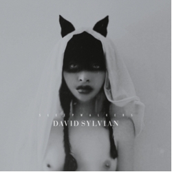 David Sylvian Sleepwalkers CD