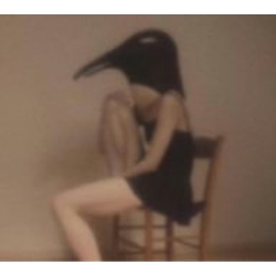 Various Penguin Cafe Orchestra - Tribute JAPAN JAPANESE CD