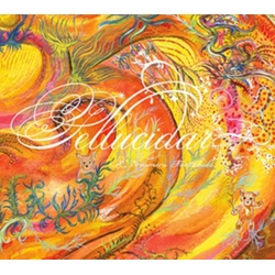 John Zorn & The Dreamers Pellucidar (A Dreamers Fantabula) CD