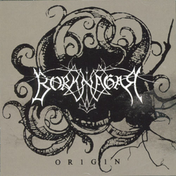 Borknagar Origin CD