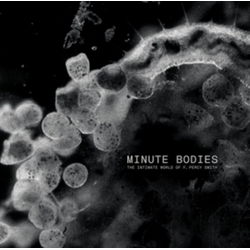 Tindersticks Minute Bodies: Intimate World of F. Percy Smith VINYL LP