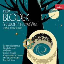 Blodek / Stepanova / Subrtova Blodek: V studni / In the Well CD