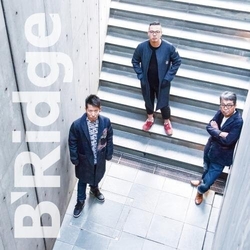 B'Ridge SHM CD