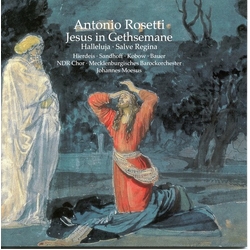 Antonio Rosetti & Hierdeis & Sandhoff & Kobow & Bauer & NDR Chor & Mecklenburgisches Barockorchester & Johannes Moesus Jesus in Gethsemane · 2 CD
