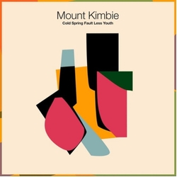 Mount Kimbie Cold Spring Fault Less Youth VINYL 7"