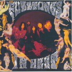The Fuzztones In Heat CD