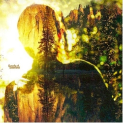 Seefeel VINYL 12"