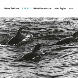 Peter Erskine Juni CD