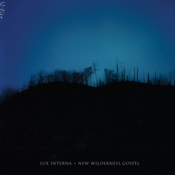 Lux Interna New Wilderness Gospel CD