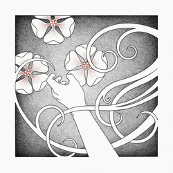 Whispering Void At The Sound Of The Heart CD