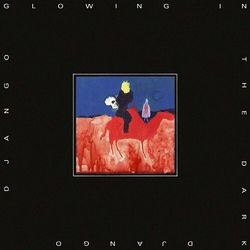 Django Django Glowing In The Dark CD