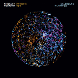 Cinjee Marijn Wind Takes Flight - Hildegard x Electronics CD