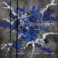 Tone Forest CD