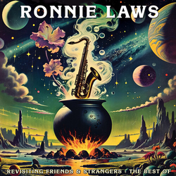 Ronnie Laws Revisiting Friends & Strangers - The Best Of DIGIPAK CD