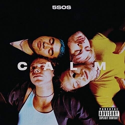 5 Seconds Of Summer Calm CD