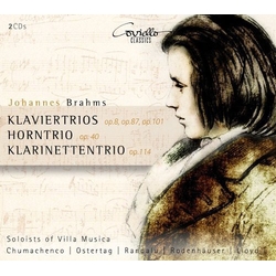 Brahms / Solisten Der Villa Musica Die Trios CD