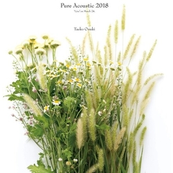 Taeko Ohnuki Pure Acoustic 2018 "Live" On March 24 JAPAN CD