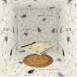 David Dunn Angels And Insects JAPANESE CD