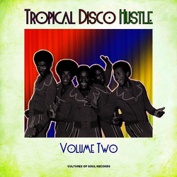 Various Tropical Disco Hustle (Volume Two) CD