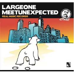 Large One Meet Unexpected CD
