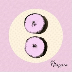 Niagara Otto CD