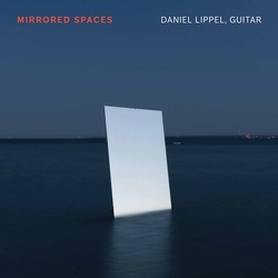 Daniel Lippel Mirrored Spaces / VARIOUS CD