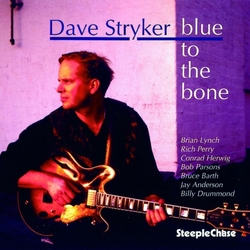 Dave Stryker Blue To The Bone CD