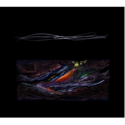 Odotte Bakari No Kuni moana CD