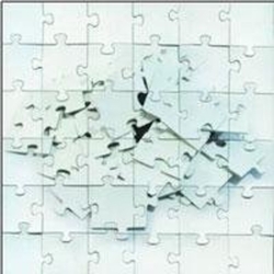 Not Scientists Destroy To Rebuild CD