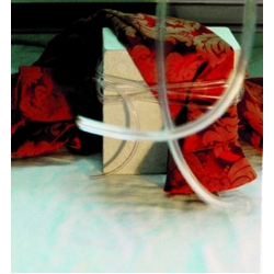Nikki Sudden Red Brocade REMASTERED CD